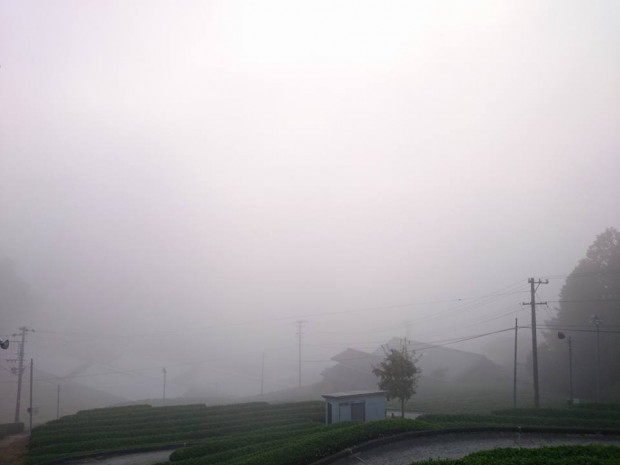 白川景色霧